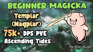 ESO Beginner Magicka Templar (Magplar) 75k+ PVE DPS Build Ascending Tides