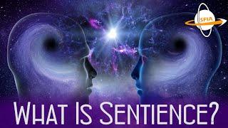 What is Sentience?