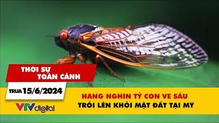 Thời sự toàn cảnh 15/6: Hàng nghìn tỷ con ve sầu trồi lên khỏi mặt đất tại Mỹ | VTV24