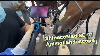 PORTABLE VETERINARY ENDOSCOPE | ENDOSCOPIO PORTÁTIL VETERINARIO