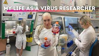 VLOG: My Life in the Laboratory- Virus & Vaccine Research