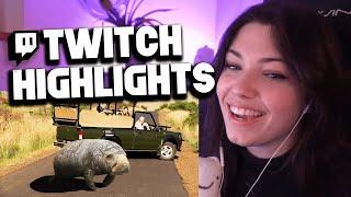 REVED BEST OF!  Twitch Highlights #02