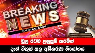 breaking news|election prediction srilanka news|hiru news|political news|hiru tv live|news 1st