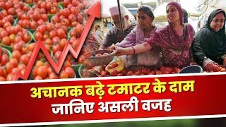 Tomato Price Hike Reason: पूरे देश में अचानक बढ़े टमाटर के दाम | मंडी के दुकानदारों ने बताई असली वजह