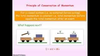 F&M Momentum & Collisions