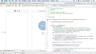 Step 04 Setup the Page Control for Root View Controller