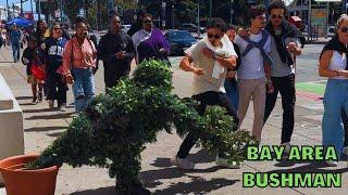 Bushman Prank 2024: Popping out on tourists along the Embarcadero Pier in San Francisco California!