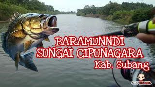 SPOT BARRAMUNDI SUNGAI CIPUNAGARA || Kab Subang