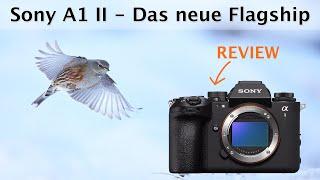 Sony A1 II - The new all-rounder?