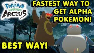 BEST FASTEST way to get a ALPHA Pokemon in Pokemon Legends Arceus