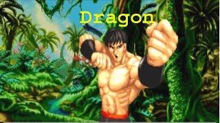 Dragon world heroes perfect