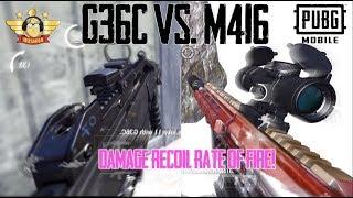 G36C vs M416 Who's The AR King? Pubg Mobile