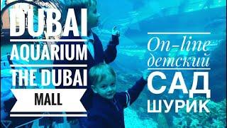 Dubai Aquarium the Dubai Mall (Дубай Аквариум в Дубай молле)