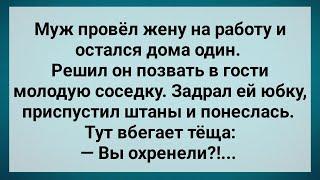 Теща Застала Зятя с Соседкой! Сборник Свежих Анекдотов! Юмор!