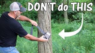 3 Setup MISTAKES (Never do THIS): Trail Camera Placement Tips for Best Results