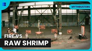 Can Fire Cook Shrimp in Mid-Air? and More! | Mythbusters