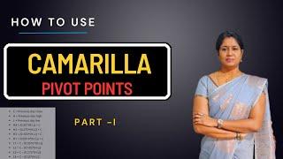 Camarilla Pivot Points for Beginners ( Part - I )  || (NIFTY & BANKNIFTY)