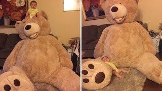 Why This Grandfather Bought a Newborn Baby A Ridiculously Big 8 Foot Bear