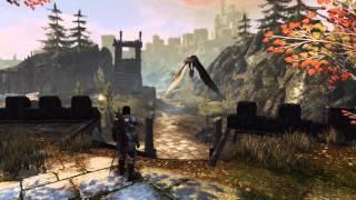 Neverwinter Companions Trailer