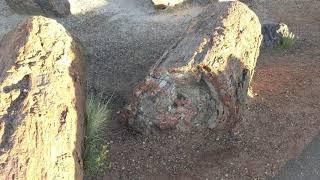 Exploring Petrified Forest in Arizona: A Journey Through Time