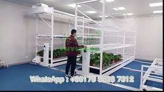 Ebb and Flow Rolling Bench/Vertical Grow Rack