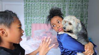 No! The Dog Loves Me More | Sekora & Sefari Battle For Their Dog Mochi