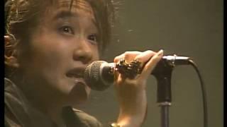 JUN TOGAWA & YAPOOS TOUR   LIVE '85〜'86