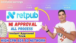 best adsense alternatives | netpub payment proof | netpub ads setup