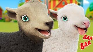 Baa Baa Black Sheep | Nursery Rhymes & Kids Songs | IshKids