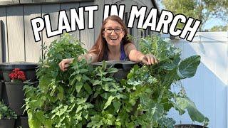 20 Awesome Veggies You Should Plant In March