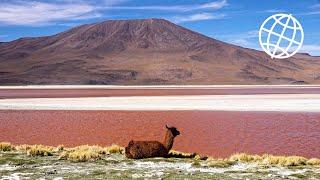 Bolivia Altiplano & Salar de Uyuni  [Amazing Places 4K]