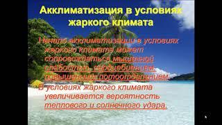 Урок ОБЖ 6 класс Акклиматизация человека в различных климатических условиях