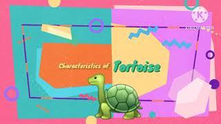 Morphology of Tortoise #youtube #ytshorts #youtubeshorts @munazastd1085