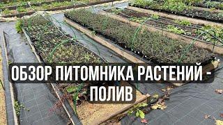 6. Обзор питомника растений // Полив