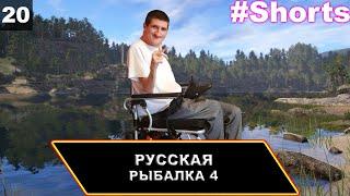 Беда, ой беда, застрял на Куори Русская Рыбалка 4 {PC 2018} #20 #shorts