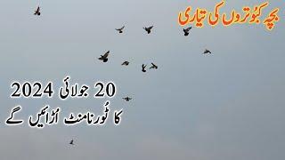 Baby Pigeons Training 4 July 2024 For Tournament 20/07/2024 | Dostana Pigeons Amra