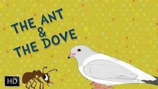 Aesop's Fables - The Ant And The Dove - Moral Stories - Animated / Cartoon Stories for Kids