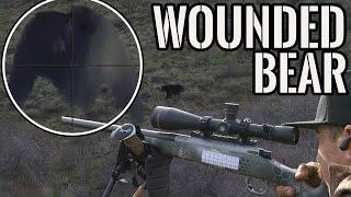 Wounded Bear | Rifle Spring Bear Hunt