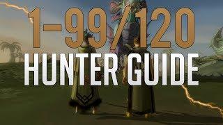 Runescape 3 | 1-99/120 Hunter guide 2019/2020