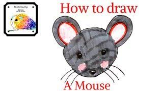 How to draw a mouse