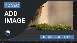 OpenShot Video Editor Tutorial: How to Add Image in OpenShot