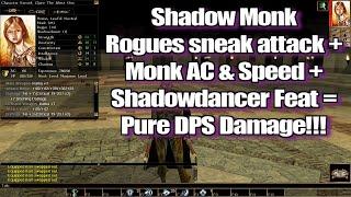 Neverwinter Nights Shadow Monk Rogue Monk Shadow Dancer Build