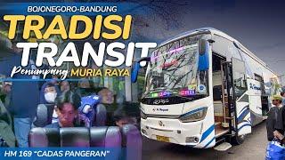 TRIP TERAKHIR SEBELUM PENSIUN  Naik Bus HARYANTO HM 169 "CADAS PANGERAN" BOJONEGORO - BANDUNG #2