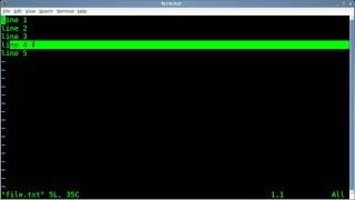 Python - Reading Specific Lines of a Text File - Linux