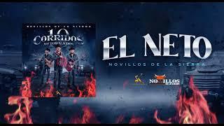 Novillos De La Sierra -  4. El Neto [Audio Oficial]