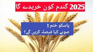 wheat sports price breaking news/zarat Update/crop reformer