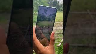 Realme 10pro camere test #shorts #shortvideo