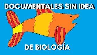 Documentales marinos pero sin idea de biología marina