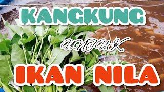 LAHAPNYA IKAN NILA MAKAN KANGKUNG SEGAR