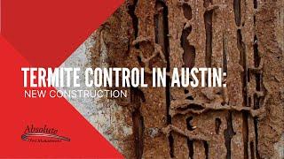 Termite Control in Austin: New Construction | Absolute Pest Management | Austin, Texas